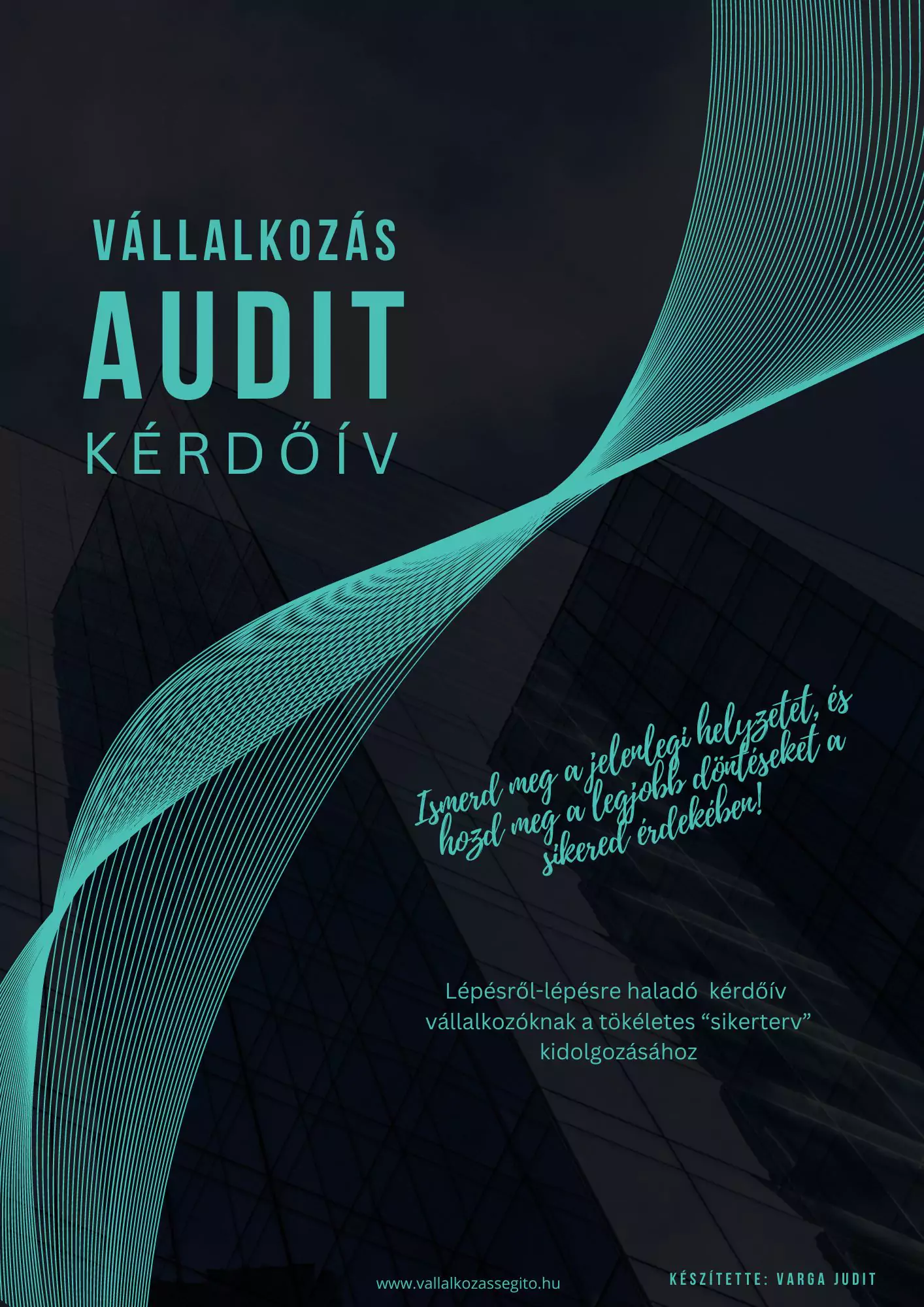 vallalkozas-audit-kerdoiv vallalkozas-audit-kerdoiv